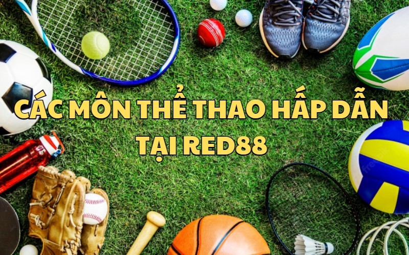 Các môn thể thao hấp dẫn tại nhà cái RED88