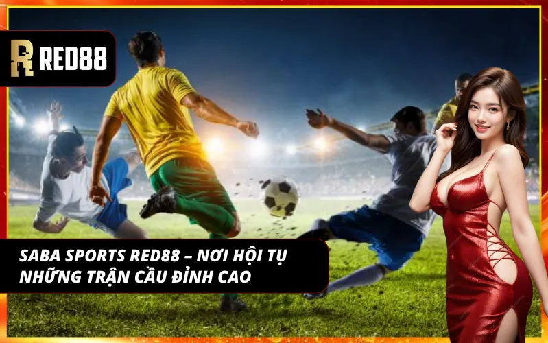 Giới thiệu tổng quan ưu điểm và giá trị mang lại cho cược thủ của SABA